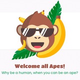 apeswap_globalen | Unsorted