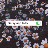 daisyaspinfo | Unsorted