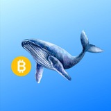 whalescallus | Cryptocurrency