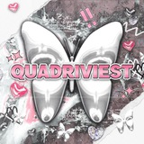 quadriviest | Unsorted