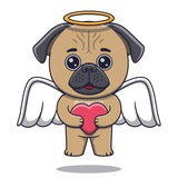 cupid_pug | Unsorted