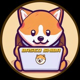 basedshibaofficially | Unsorted