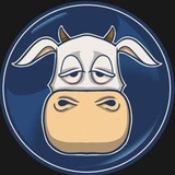 moocoinchannel | Cryptocurrency