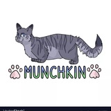 munchkincatbsc | Unsorted