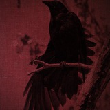 raven_ccs | Unsorted