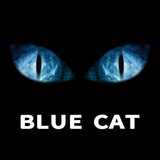 bluecatcapital | Unsorted