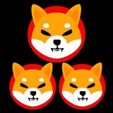 multishiba_en | Unsorted