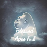 blessedapeshub | Unsorted