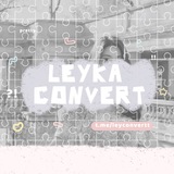 leyconvertt | Unsorted