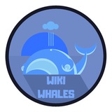 wikiwhales | Unsorted