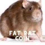 fatratcoinchat | Cryptocurrency