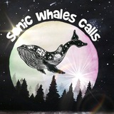 sonicwhalescalls | Unsorted