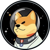 satellitedoge1misslonerc | Unsorted