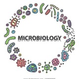 microbiology_vid | Unsorted