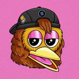 duckyduckclub | Unsorted