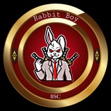 rabbitboy_bsc1 | Unsorted