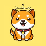 babydogeciun | Cryptocurrency