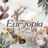 euryopia | Unsorted