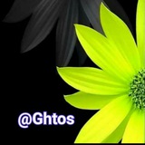 ghtos | Unsorted