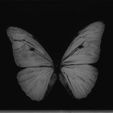 renxii_yeon | Unsorted