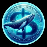 bnbbtcwhale | Unsorted