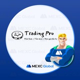 trading_pro_channel | Cryptocurrency