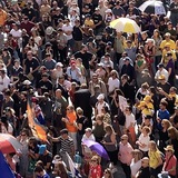 sydney_protest | Unsorted