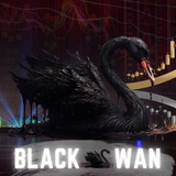 blackswanportal | Unsorted