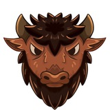 bisoncoin_io | Cryptocurrency