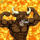 BINANCE BULLS