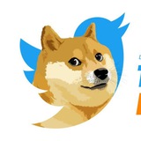 twitterdoge6 | Unsorted