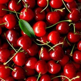 cherryquote | Unsorted