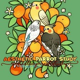 aesthethicparrotstudy | Unsorted