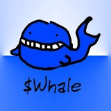 bluewhale_onbase | Unsorted