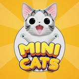 minicatsbsc | Unsorted