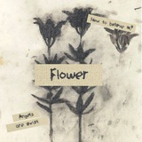 flowwer | Unsorted