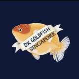 dkgoldfish | Unsorted