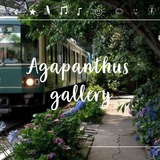 agapanthusgallery | Unsorted