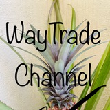 waytradechannel | Unsorted