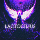 lactocilius | Unsorted