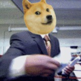 bdogedefi | Unsorted