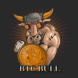 btcbull_bsc | Unsorted