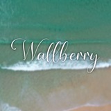 wallberri | Unsorted