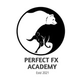 perfectfxacademy | Unsorted