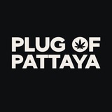 pattayaplug | Unsorted