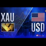 xauusd55550 | Cryptocurrency