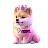 shila_bsc | Unsorted