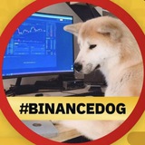 binancedogcn | Unsorted