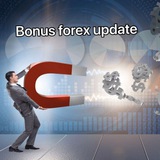 bonusforexupdate | Unsorted