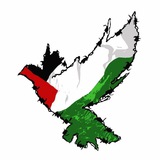 prayforpalestinefree | Unsorted